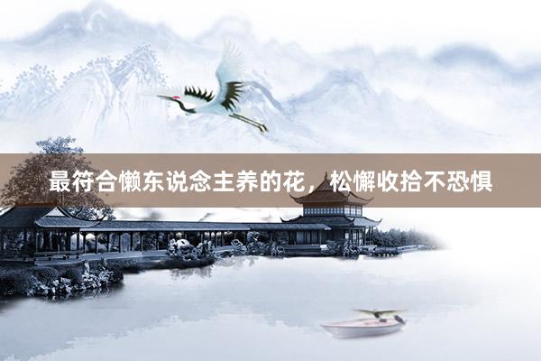 最符合懒东说念主养的花，松懈收拾不恐惧