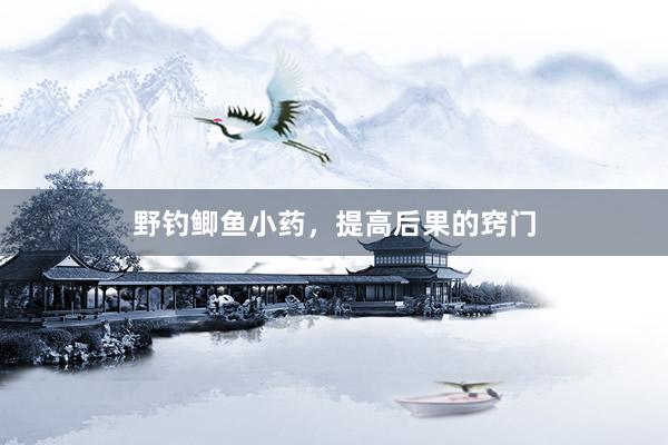 野钓鲫鱼小药,提高后果的窍门