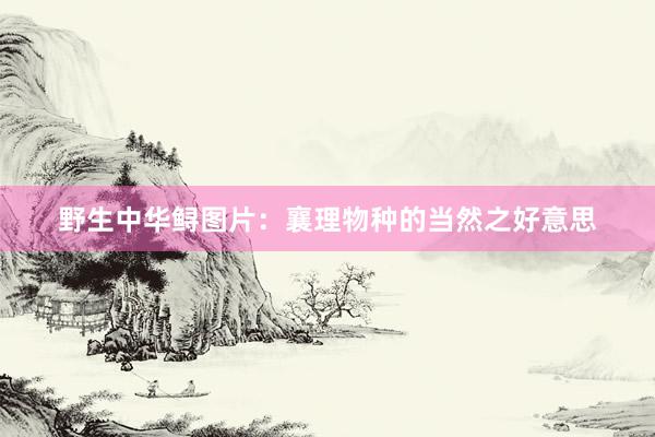 野生中华鲟图片：襄理物种的当然之好意思