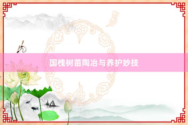 国槐树苗陶冶与养护妙技