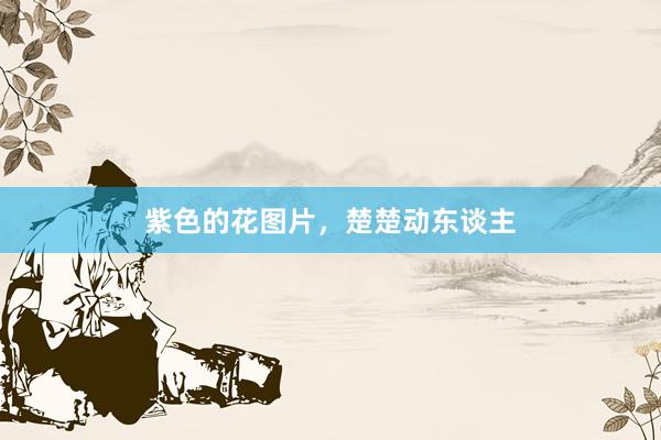 紫色的花图片，楚楚动东谈主