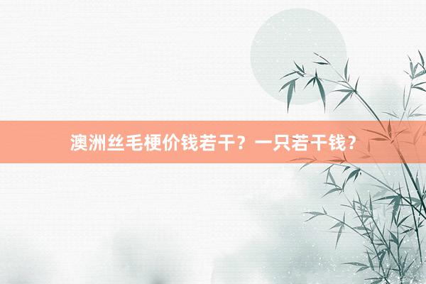 澳洲丝毛梗价钱若干？一只若干钱？